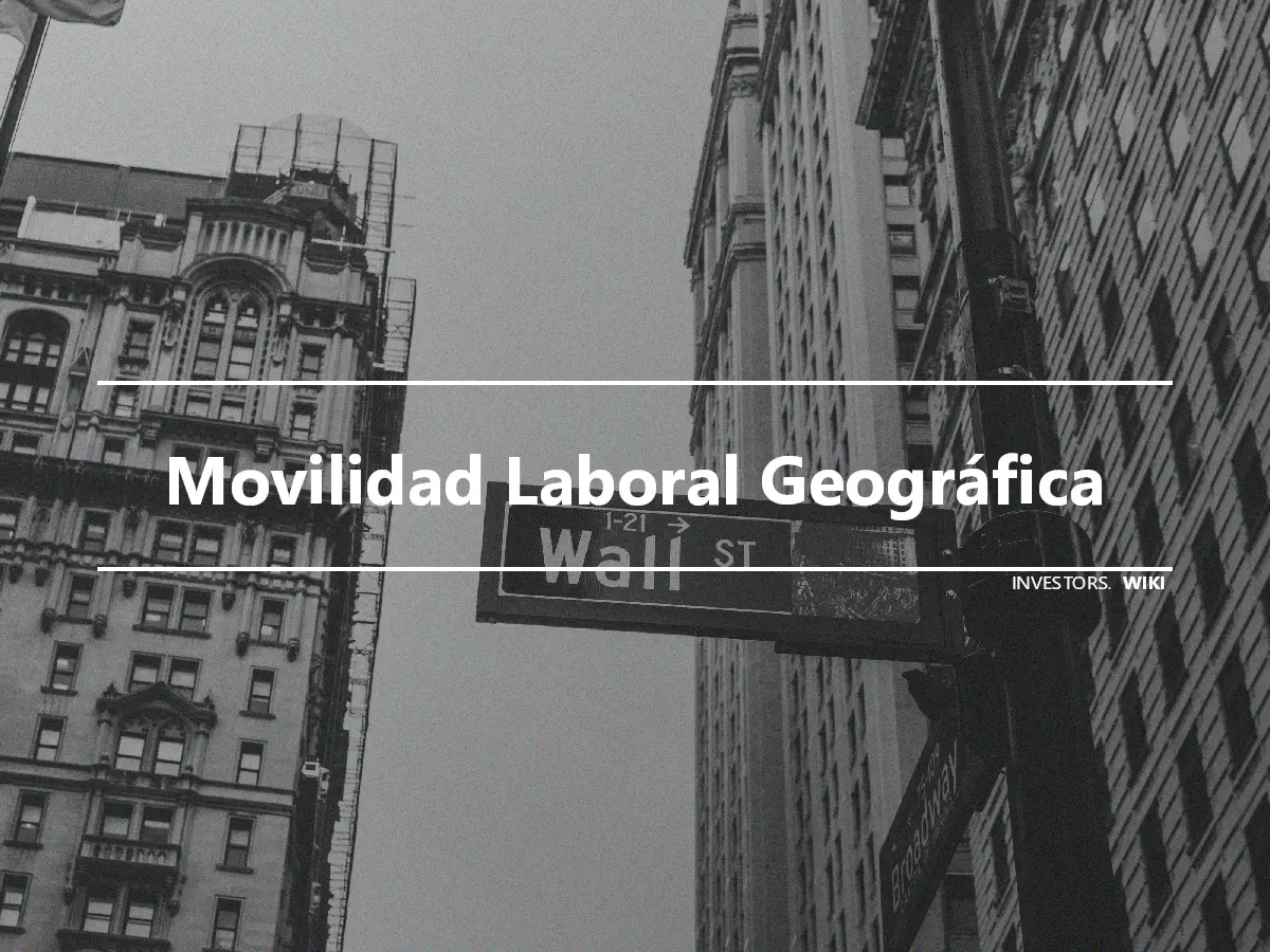 Movilidad Laboral Geográfica