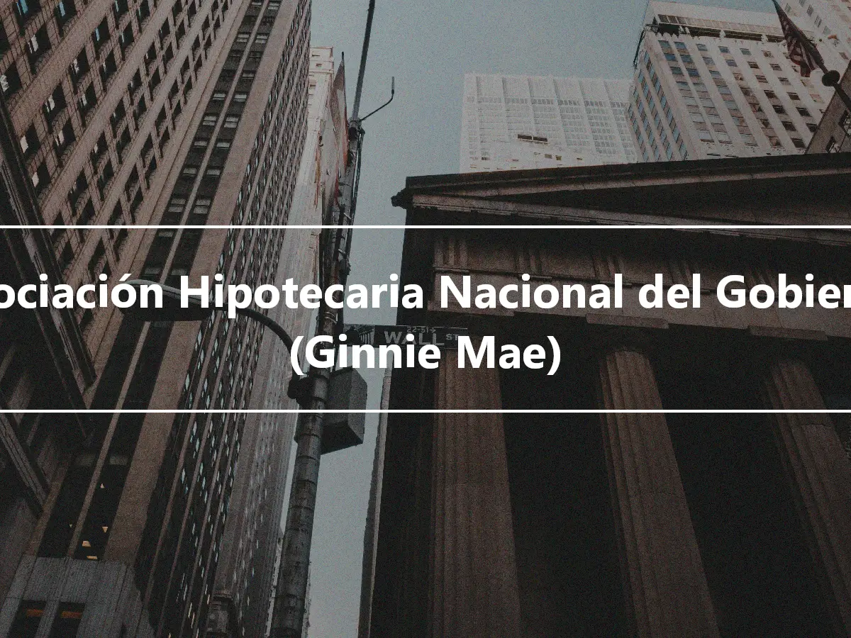 Asociación Hipotecaria Nacional del Gobierno (Ginnie Mae)