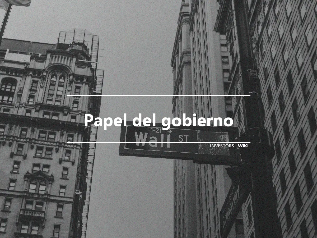 Papel del gobierno