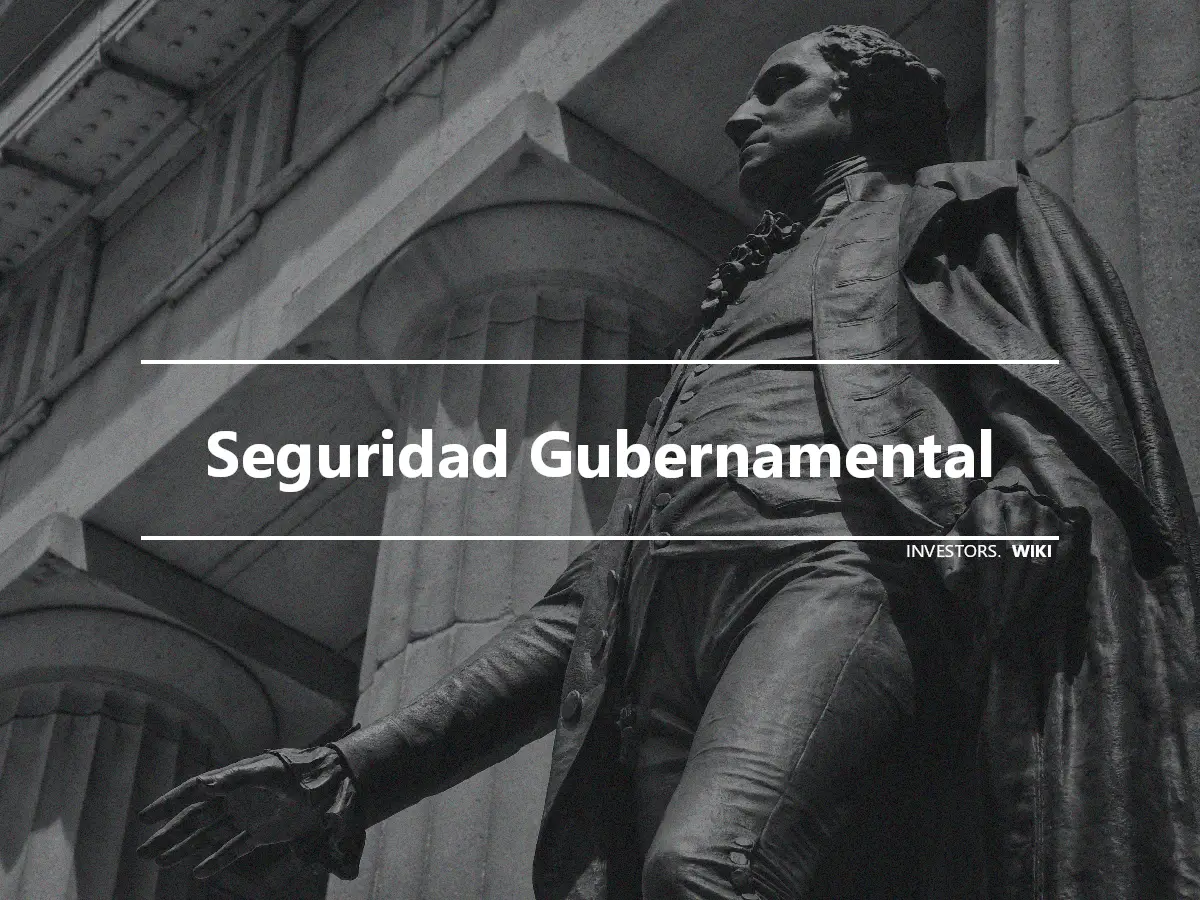 Seguridad Gubernamental