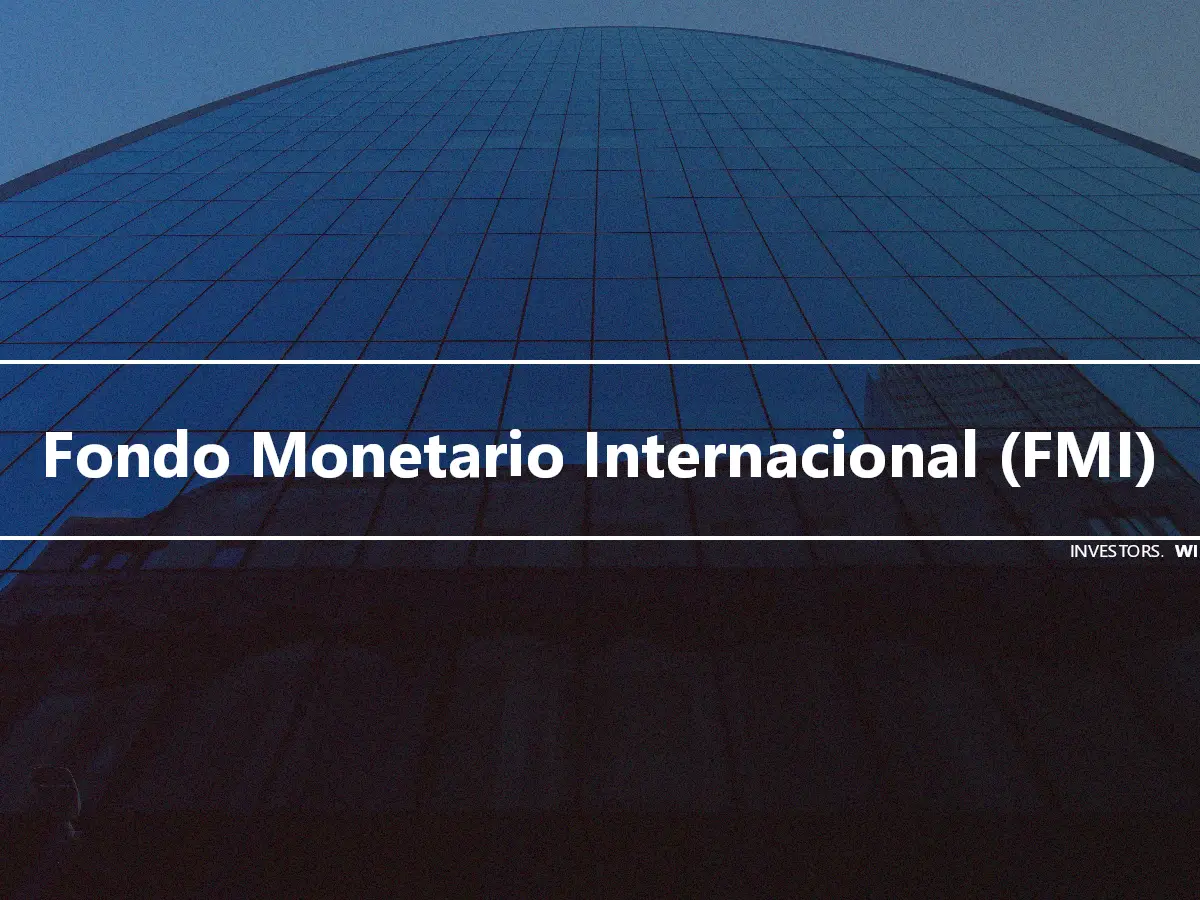 Fondo Monetario Internacional (FMI)