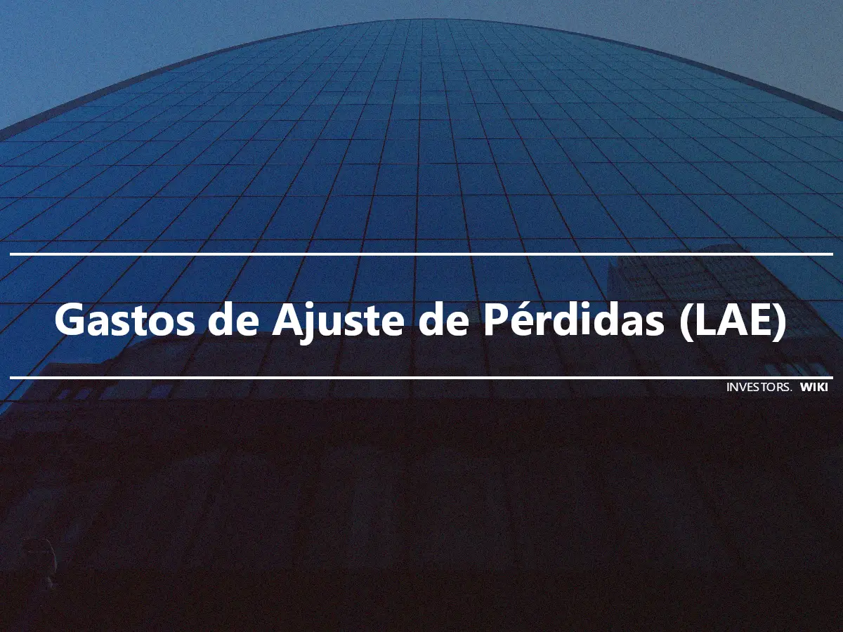 Gastos de Ajuste de Pérdidas (LAE)