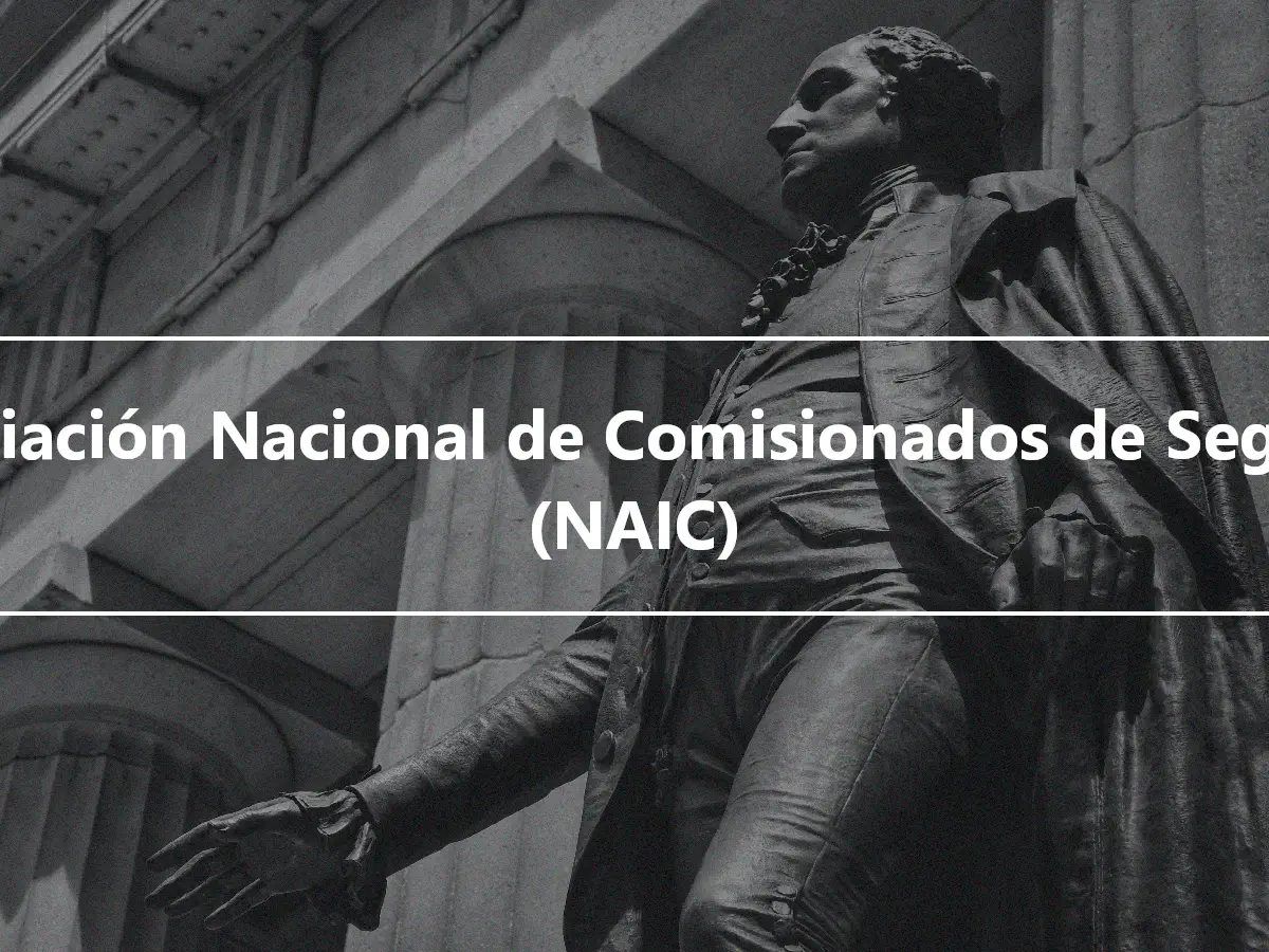 Asociación Nacional de Comisionados de Seguros (NAIC)