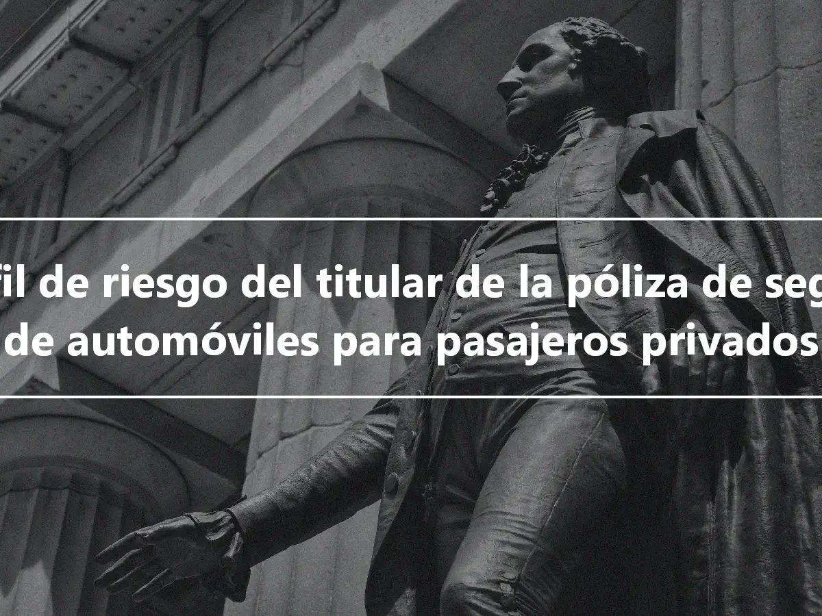 Perfil de riesgo del titular de la póliza de seguro de automóviles para pasajeros privados