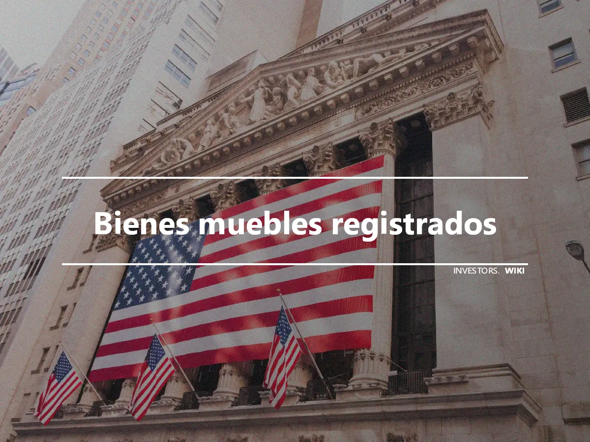 Bienes muebles registrados