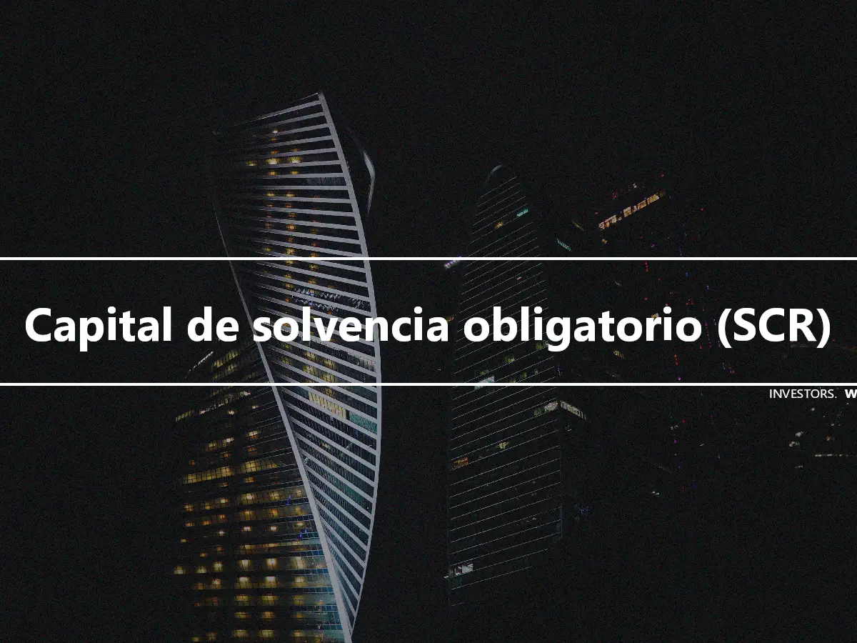 Capital de solvencia obligatorio (SCR)