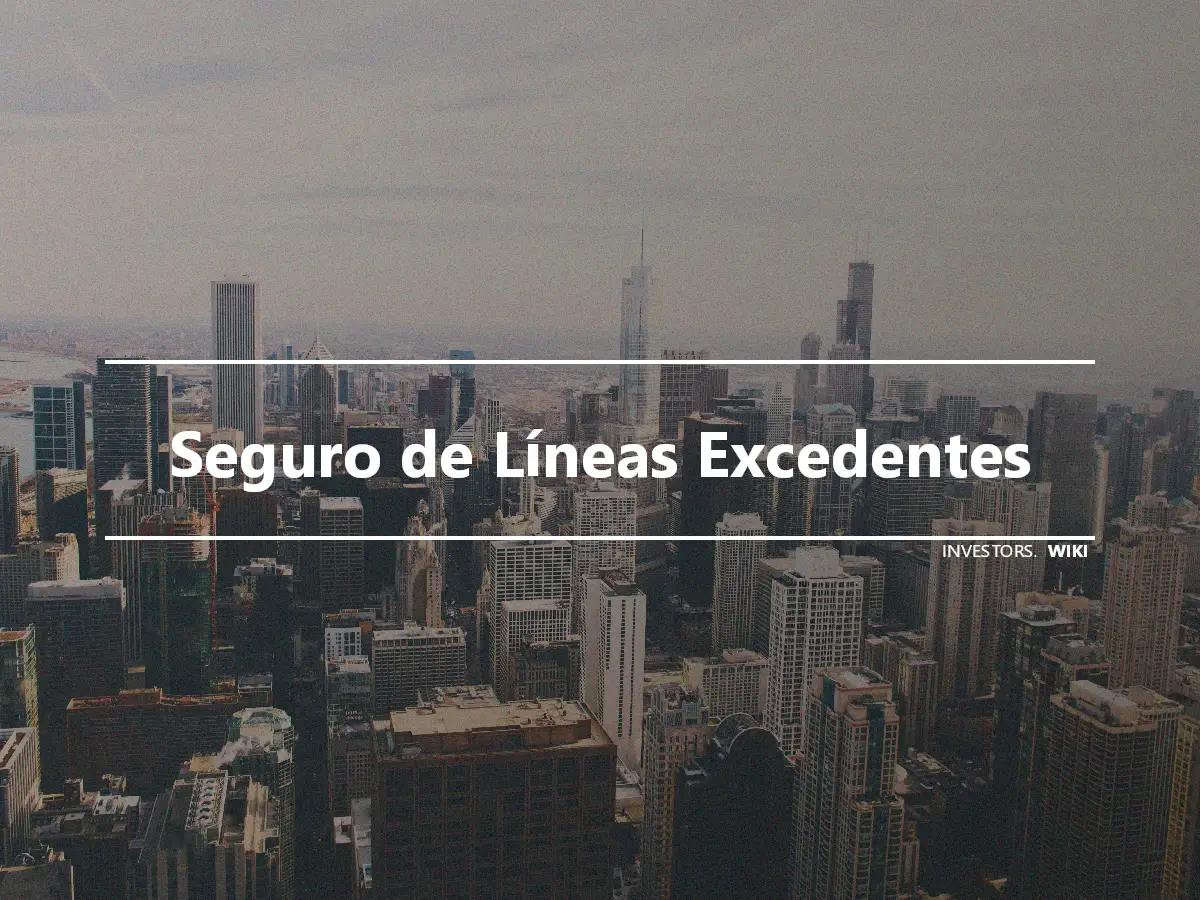 Seguro de Líneas Excedentes