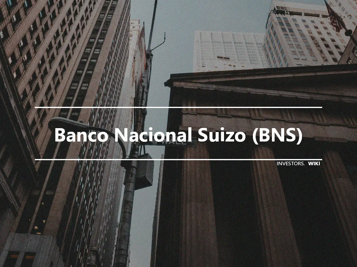 Banco Nacional Suizo (BNS)