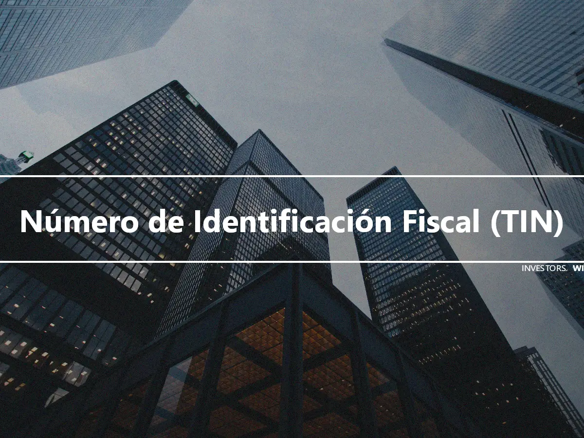 Número de Identificación Fiscal (TIN)