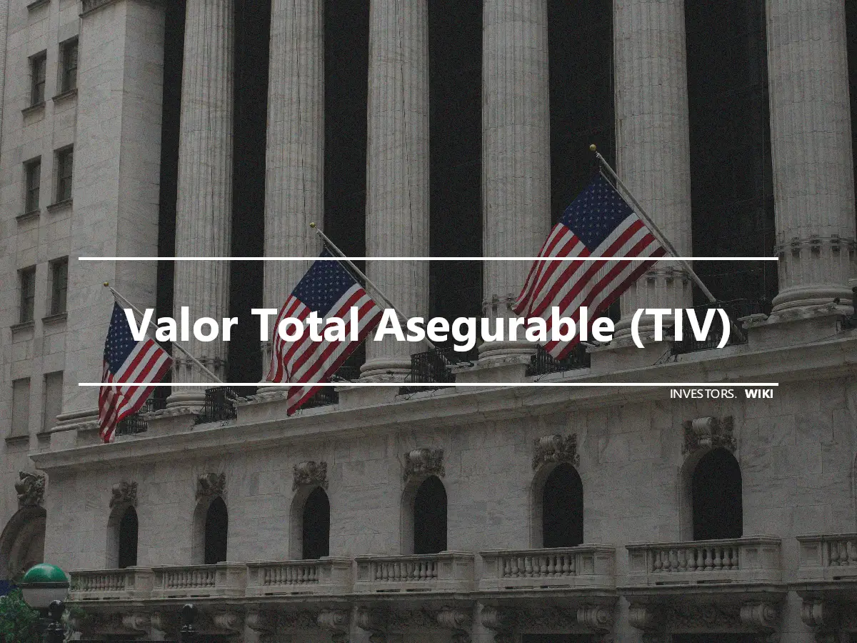 Valor Total Asegurable (TIV)