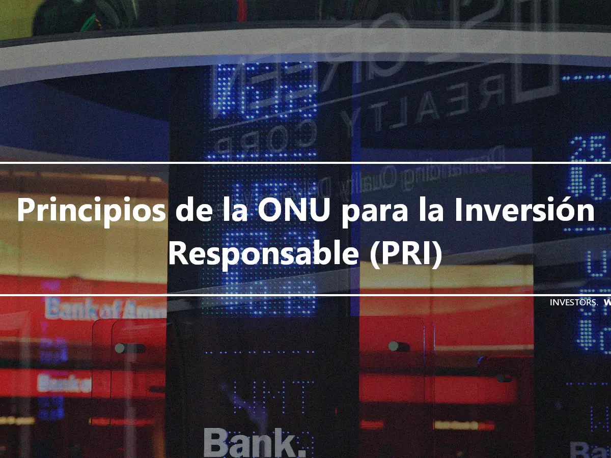 Principios de la ONU para la Inversión Responsable (PRI)