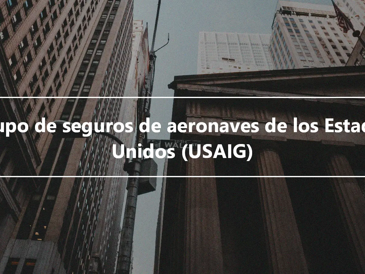 Grupo de seguros de aeronaves de los Estados Unidos (USAIG)