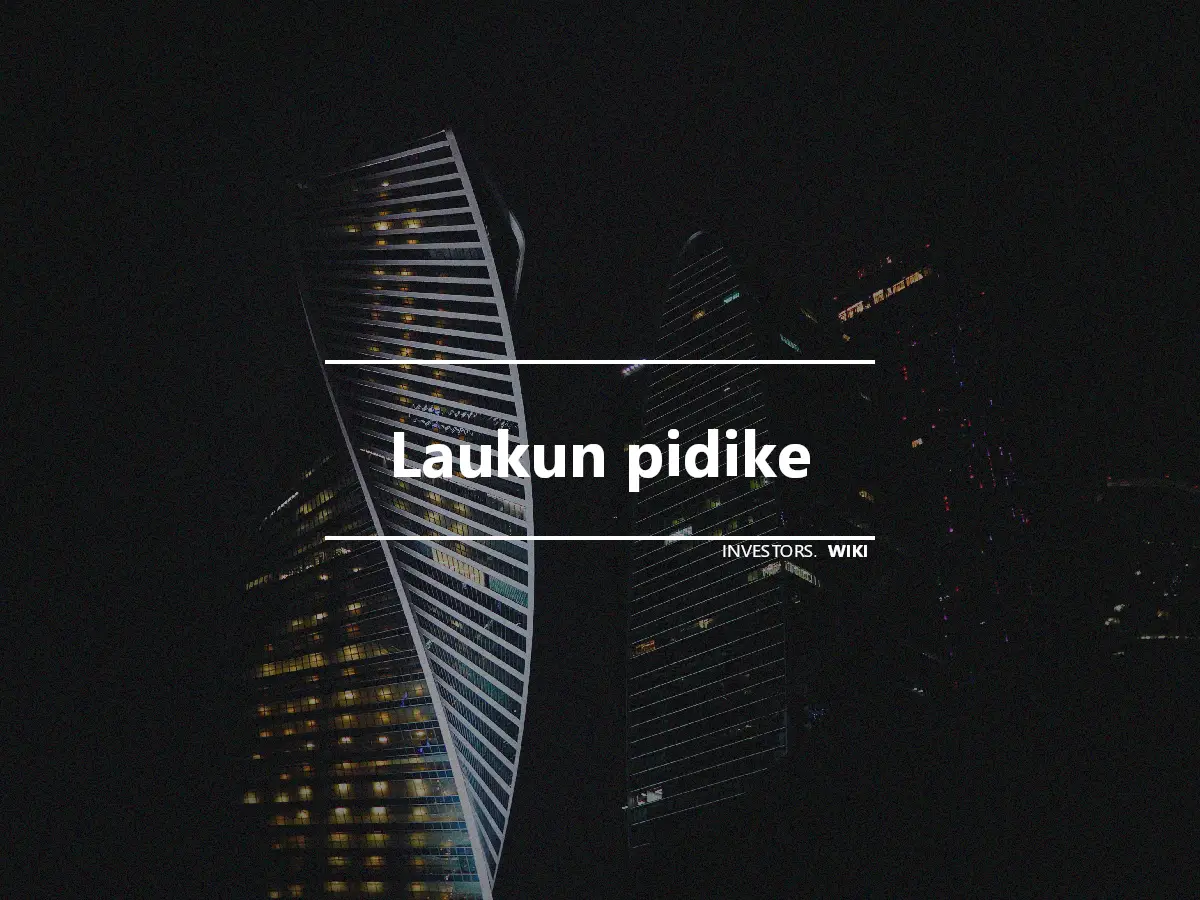 Laukun pidike