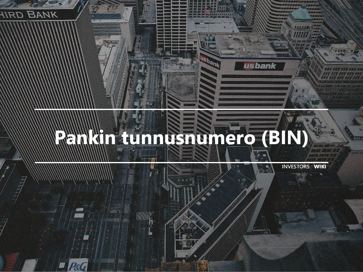 Pankin tunnusnumero (BIN)