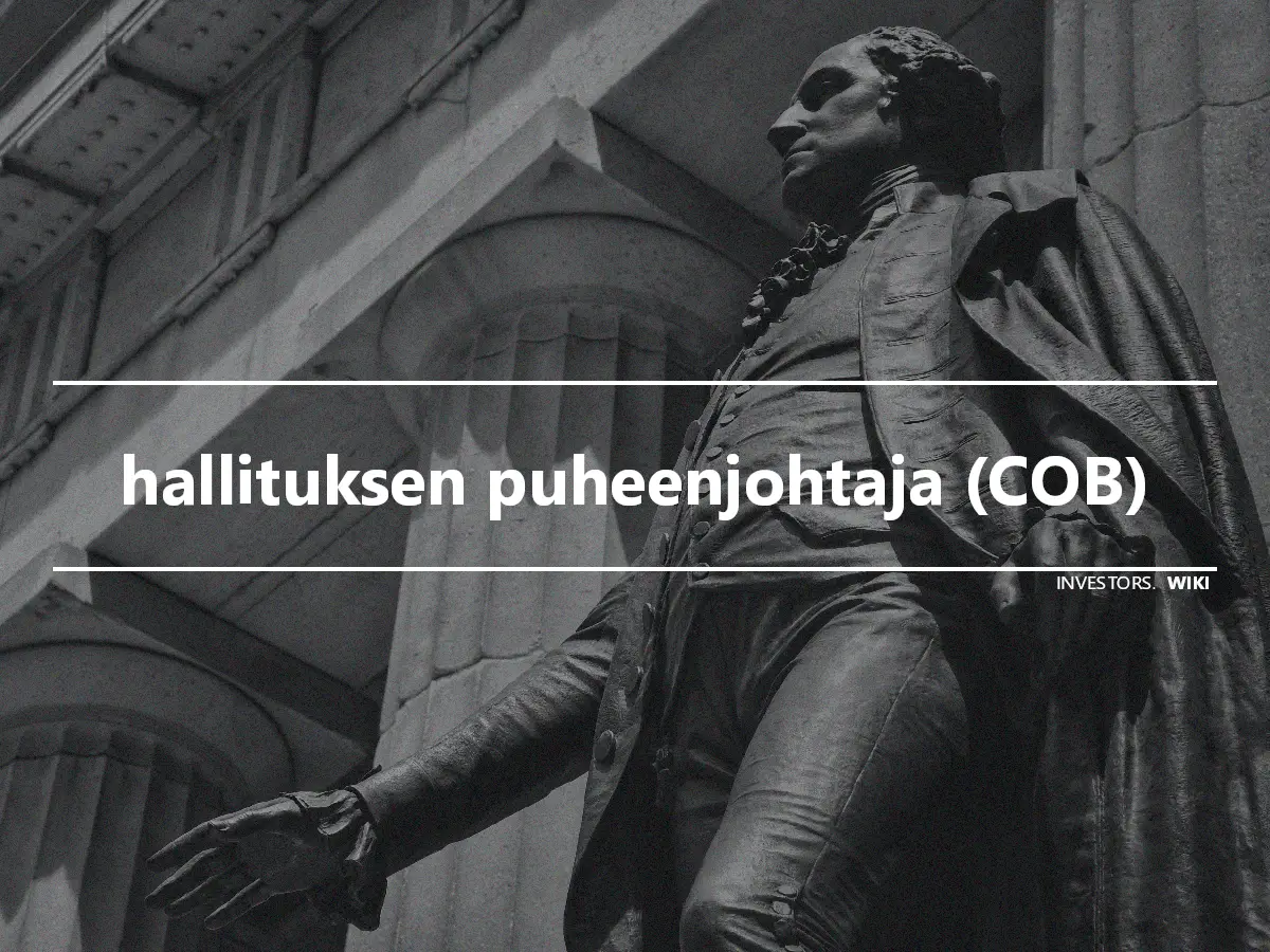 hallituksen puheenjohtaja (COB)