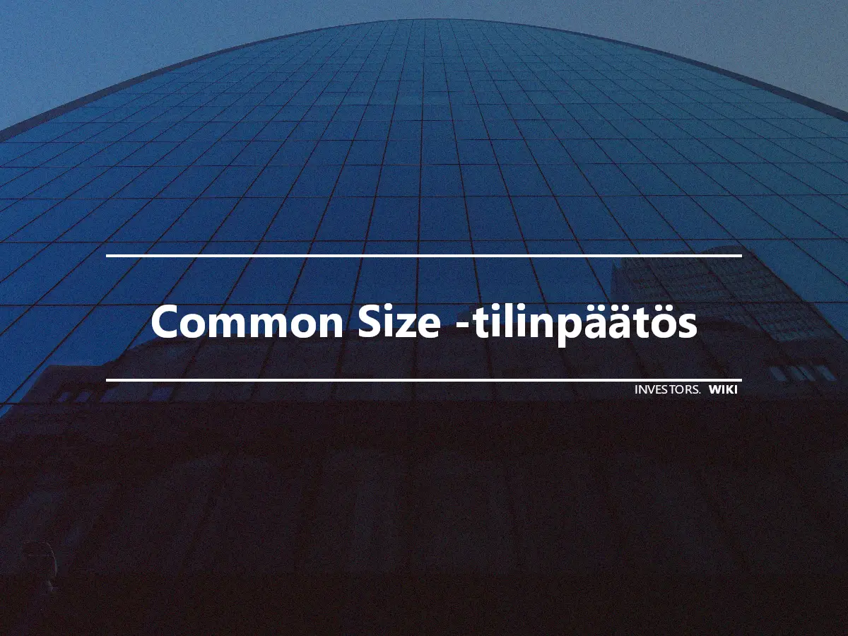 Common Size -tilinpäätös