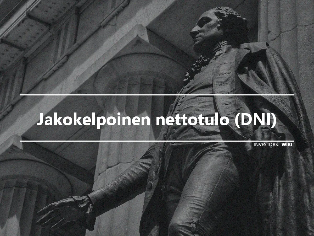 Jakokelpoinen nettotulo (DNI)