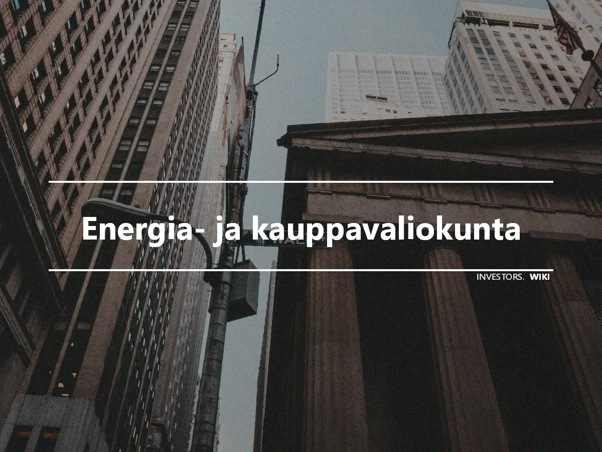 Energia- ja kauppavaliokunta