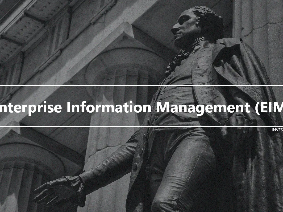 Enterprise Information Management (EIM)