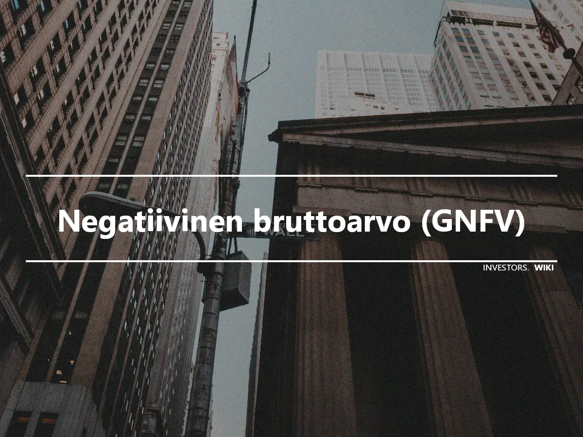 Negatiivinen bruttoarvo (GNFV)
