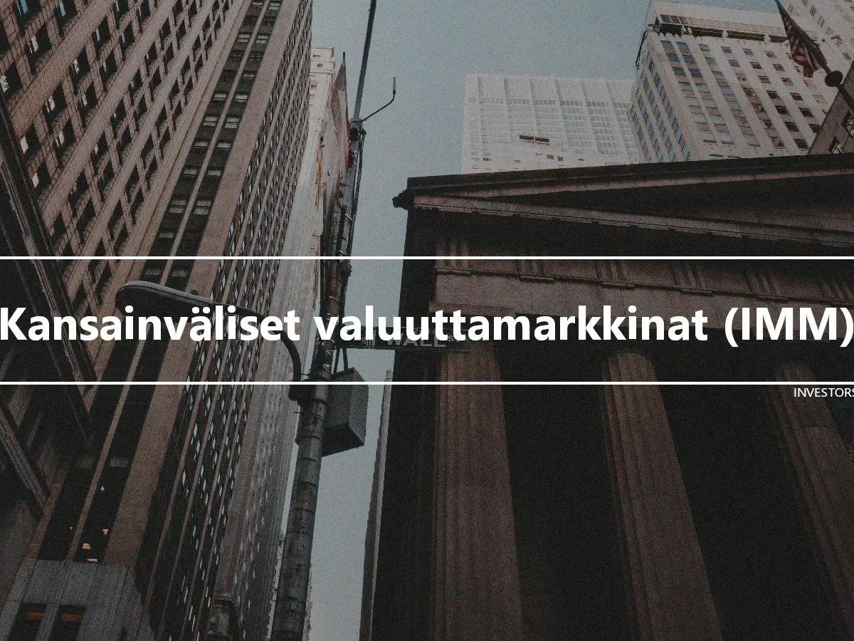 Kansainväliset valuuttamarkkinat (IMM)