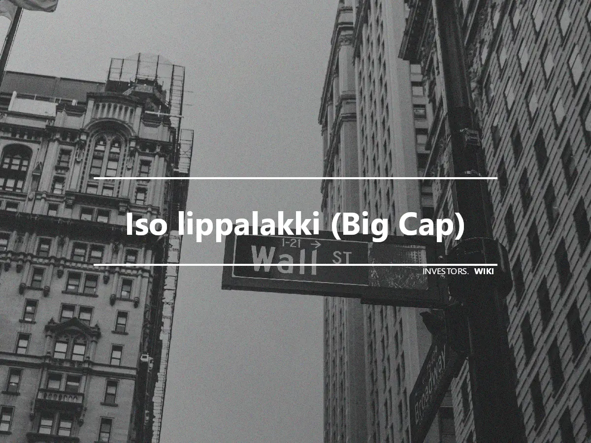 Iso lippalakki (Big Cap)