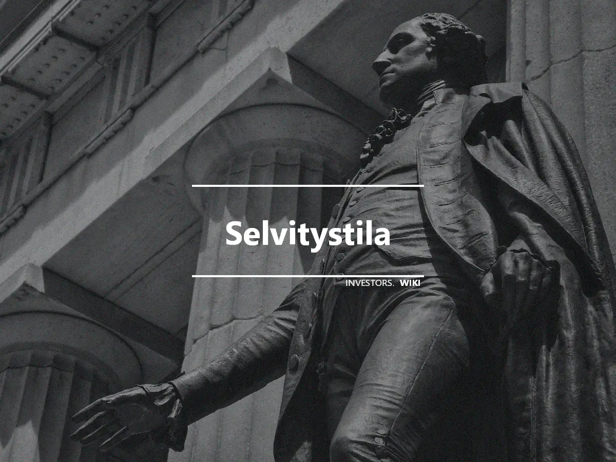 Selvitystila