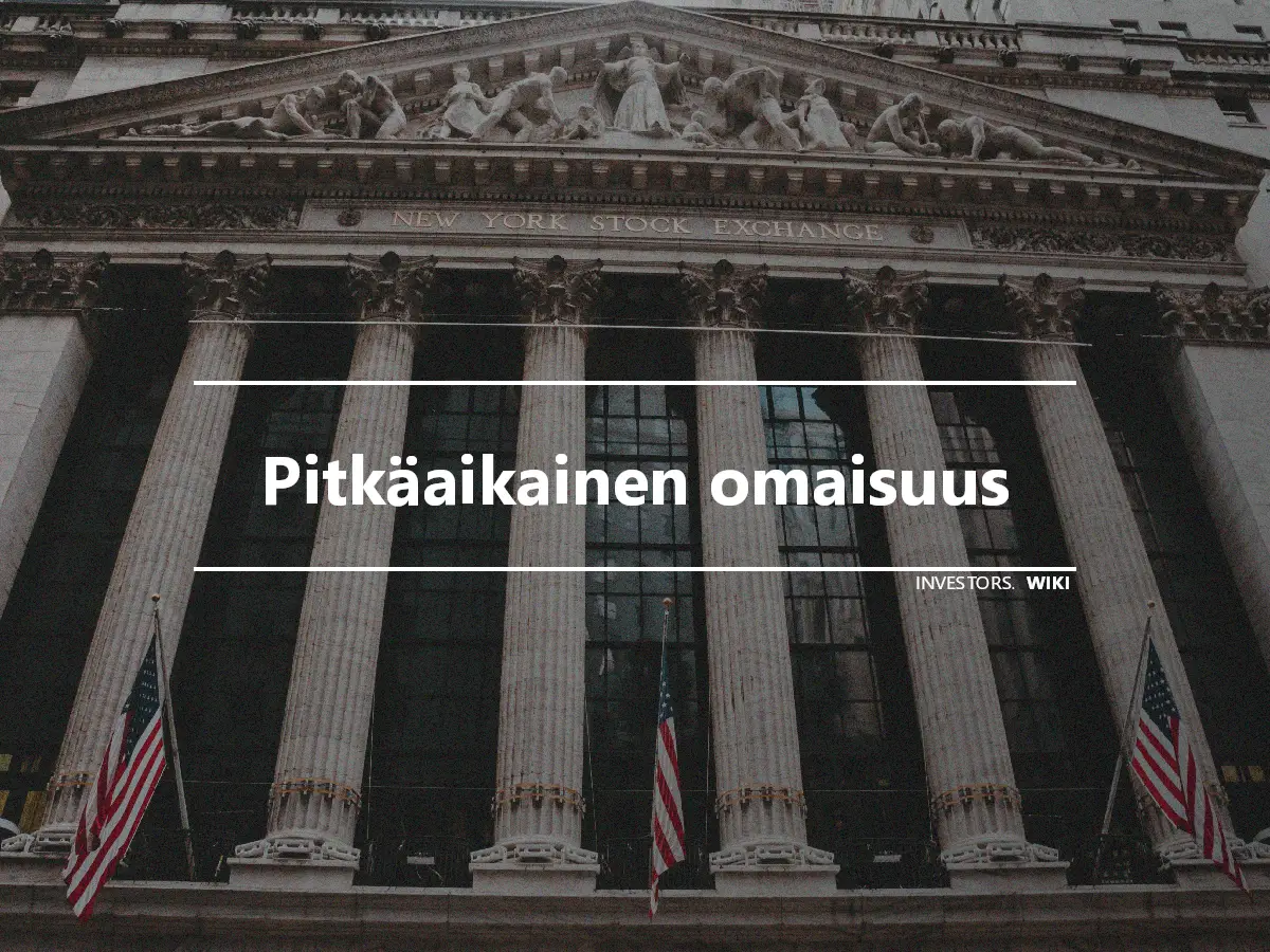 Pitkäaikainen omaisuus