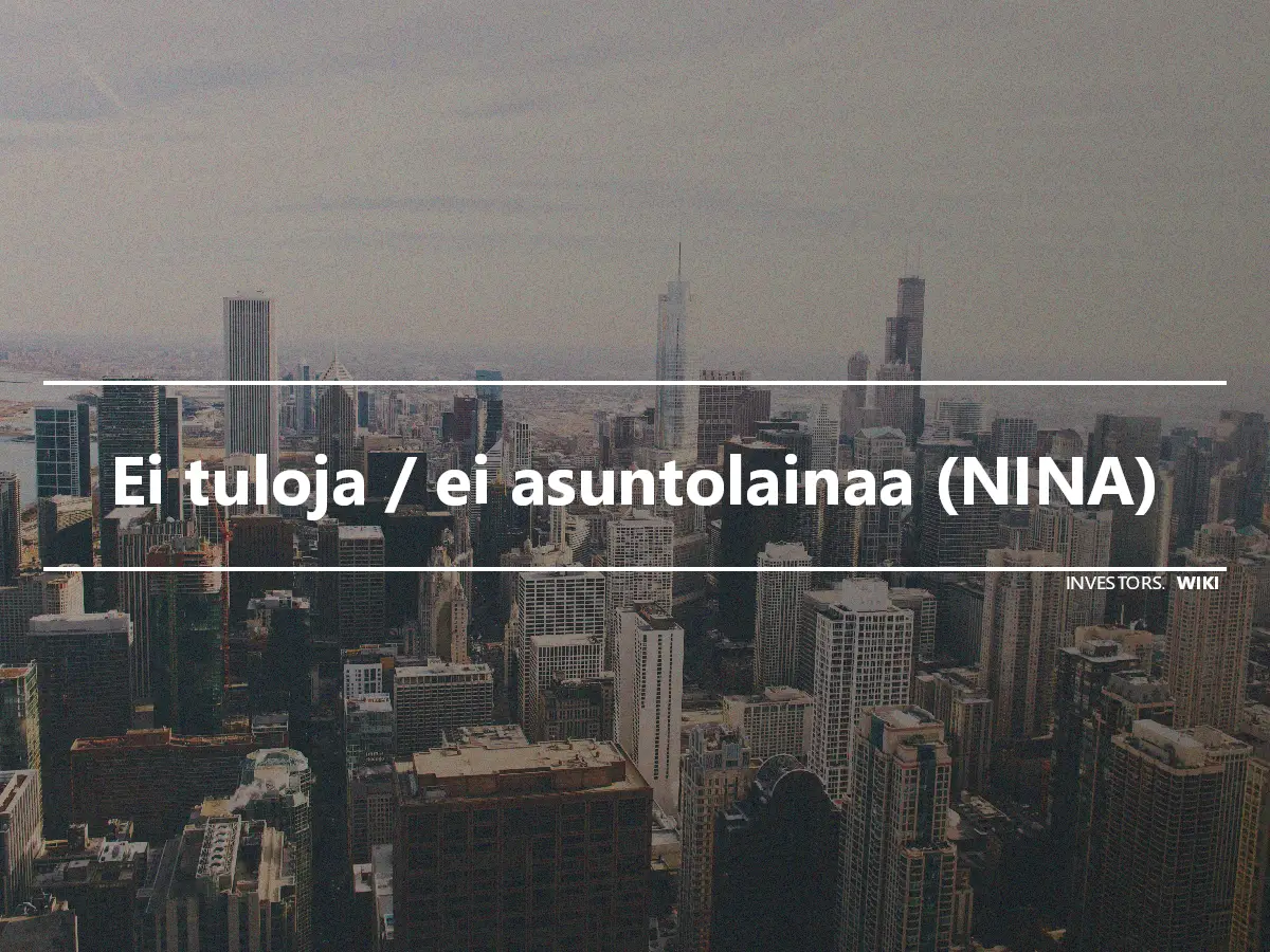 Ei tuloja / ei asuntolainaa (NINA)