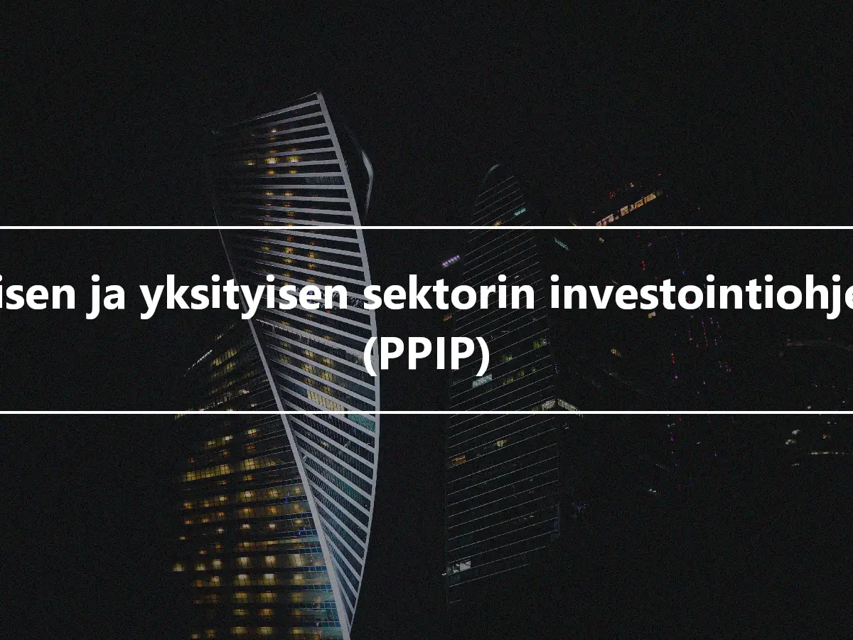 Julkisen ja yksityisen sektorin investointiohjelma (PPIP)