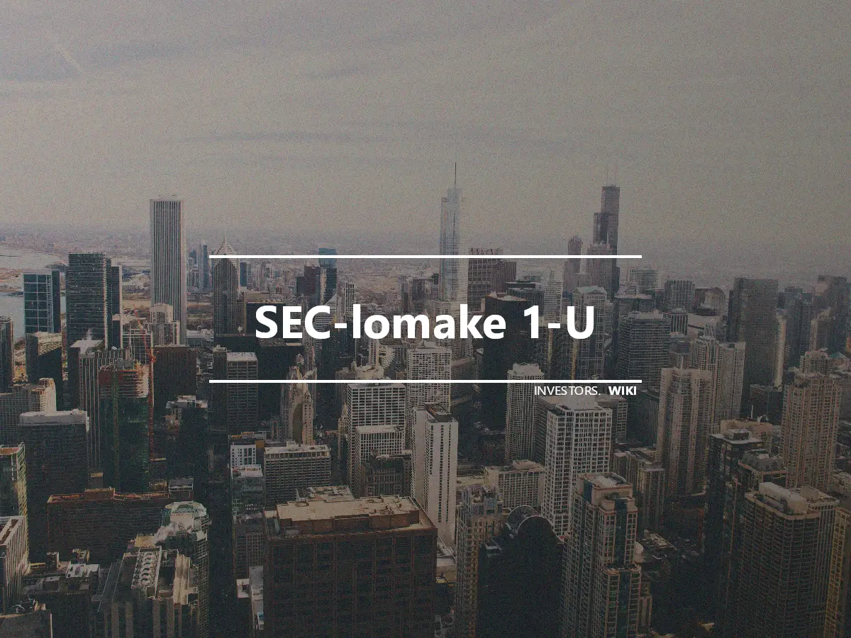 SEC-lomake 1-U