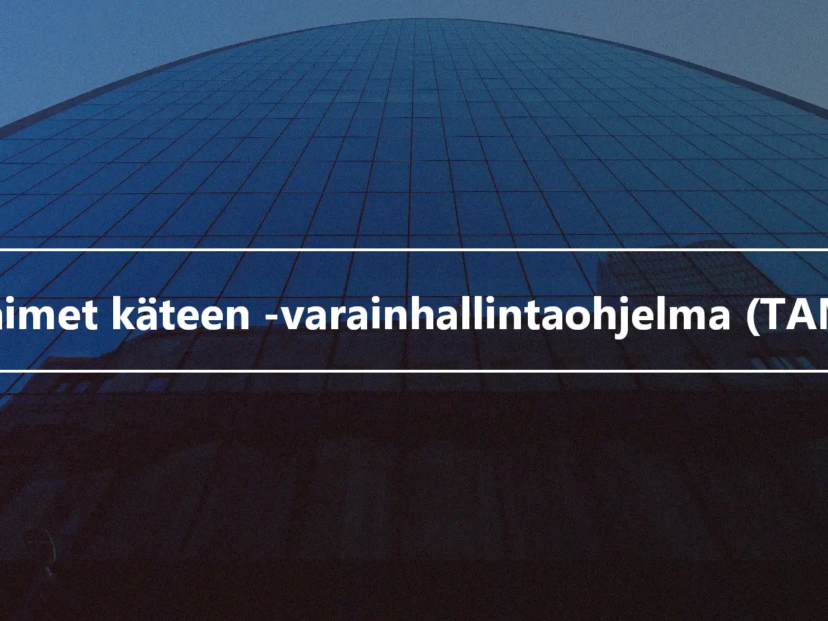 Avaimet käteen -varainhallintaohjelma (TAMP)