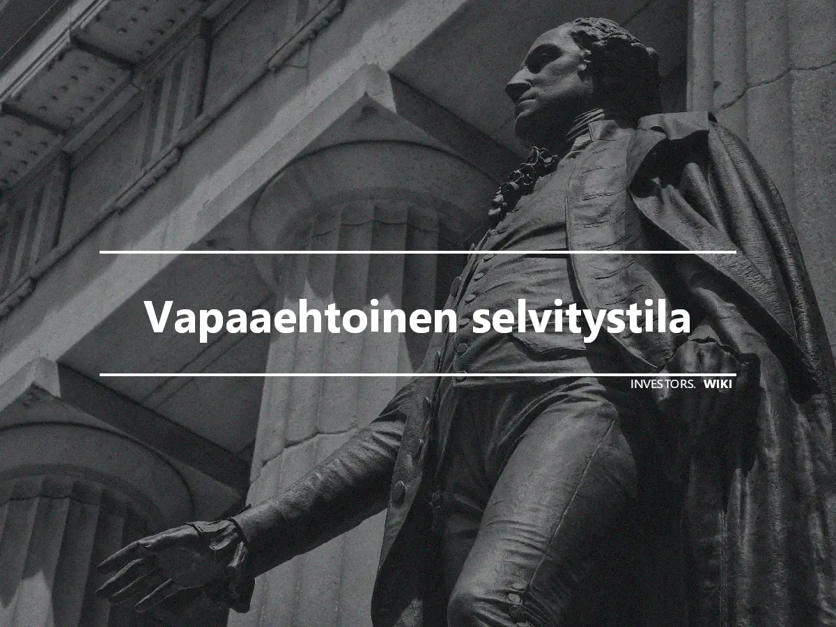 Vapaaehtoinen selvitystila