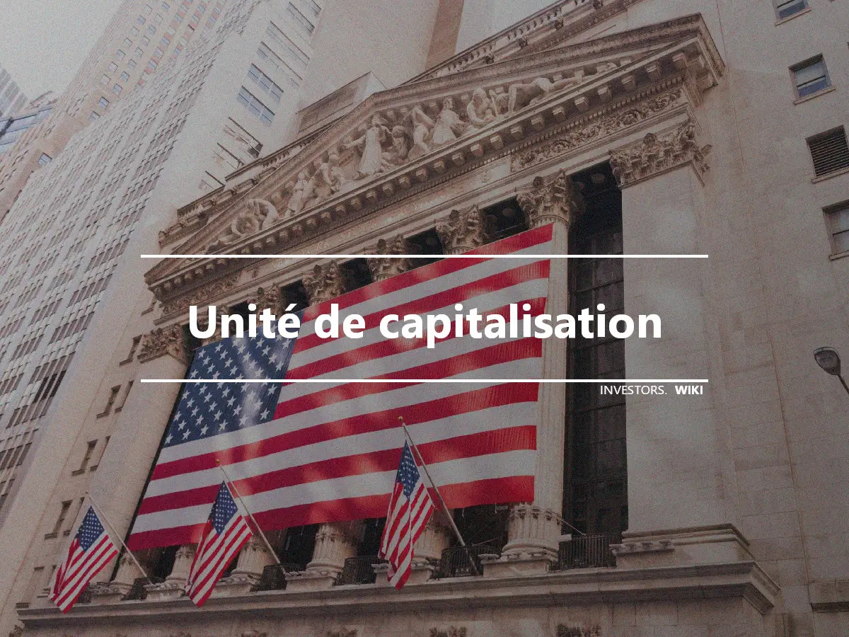 Unité de capitalisation