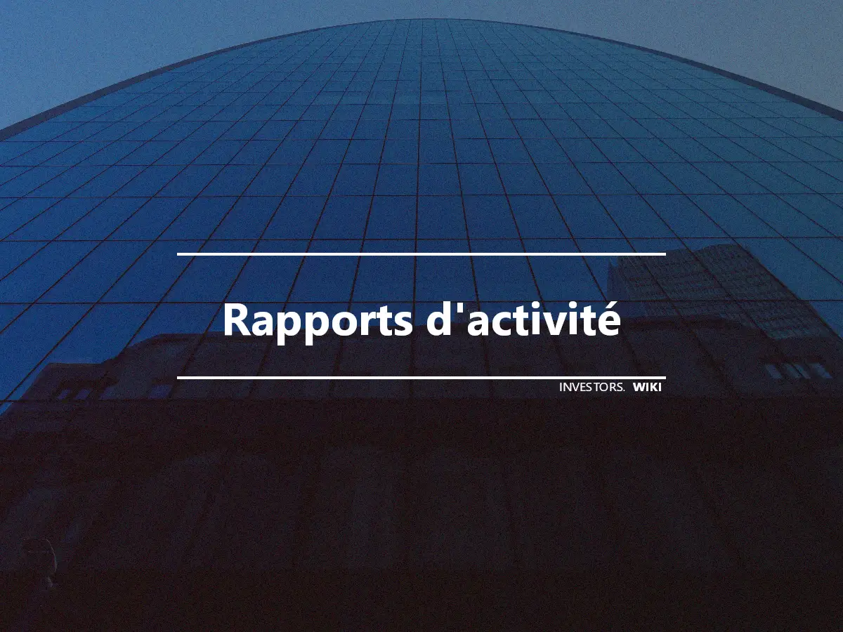 Rapports d'activité