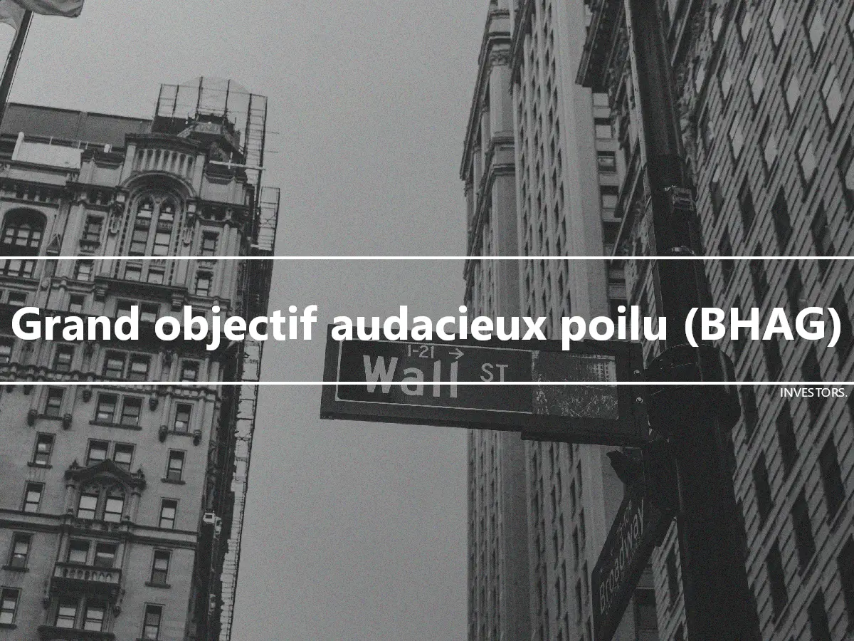 Grand objectif audacieux poilu (BHAG)