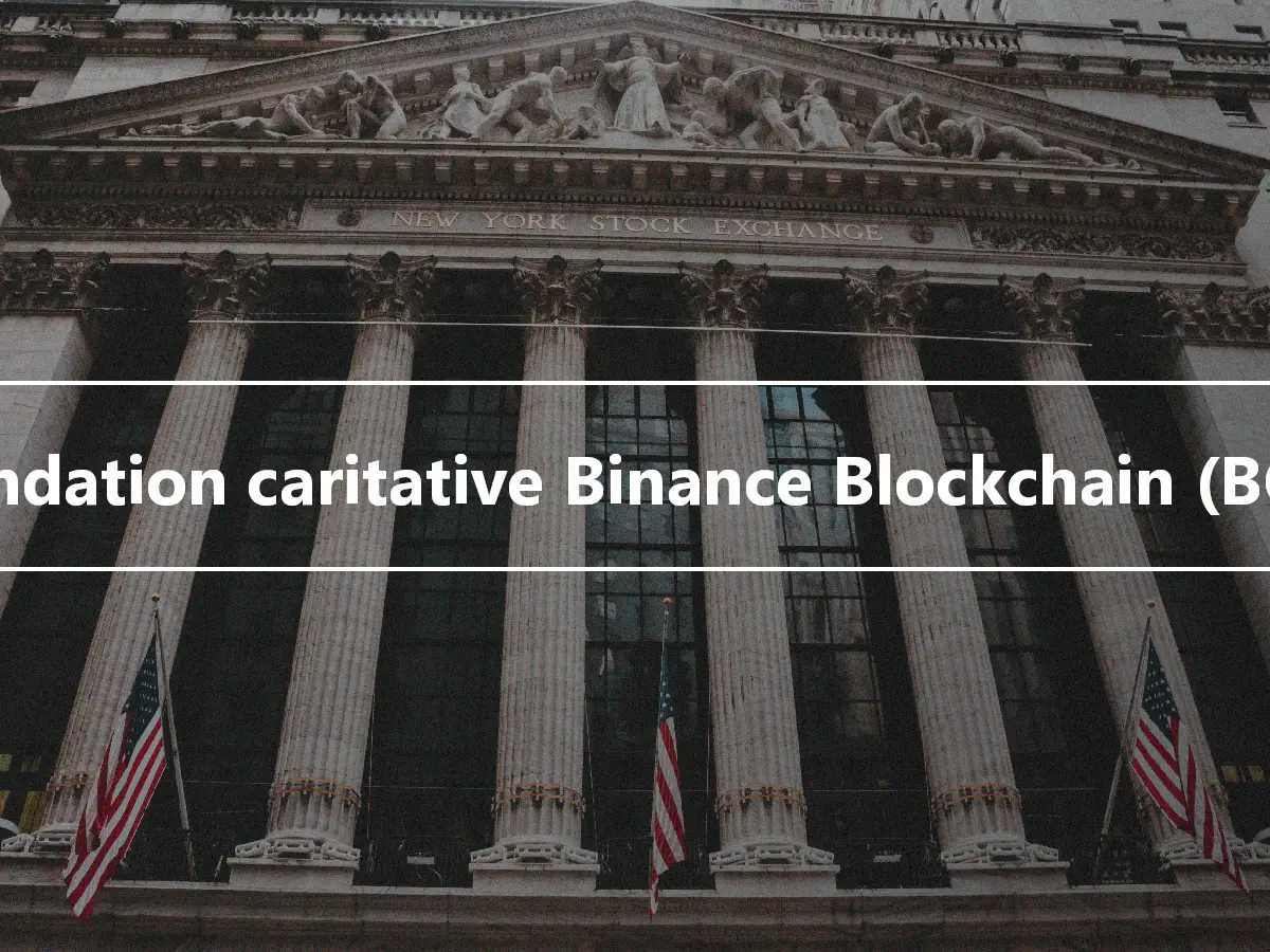 Fondation caritative Binance Blockchain (BCF)