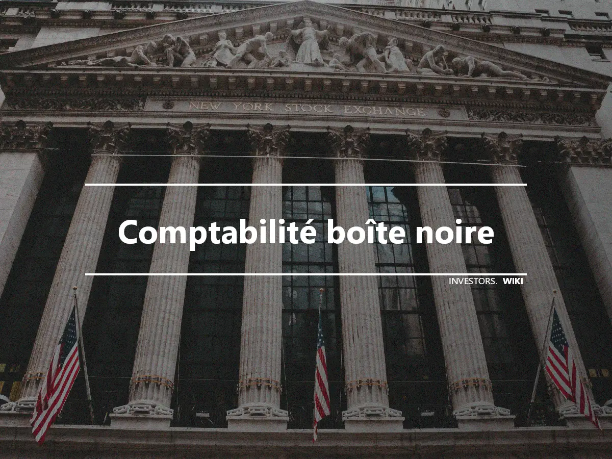 Comptabilité boîte noire