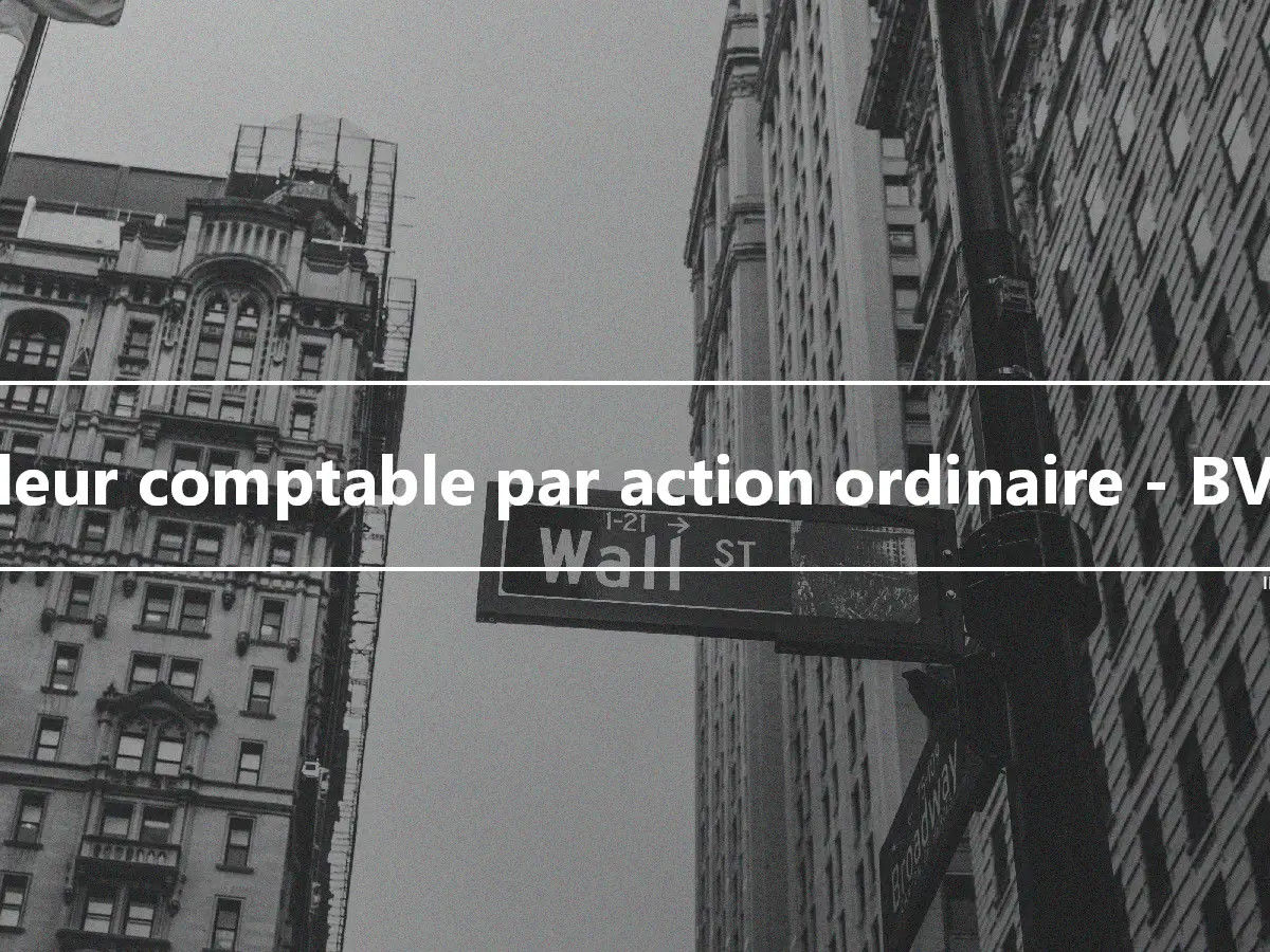 Valeur comptable par action ordinaire - BVPS