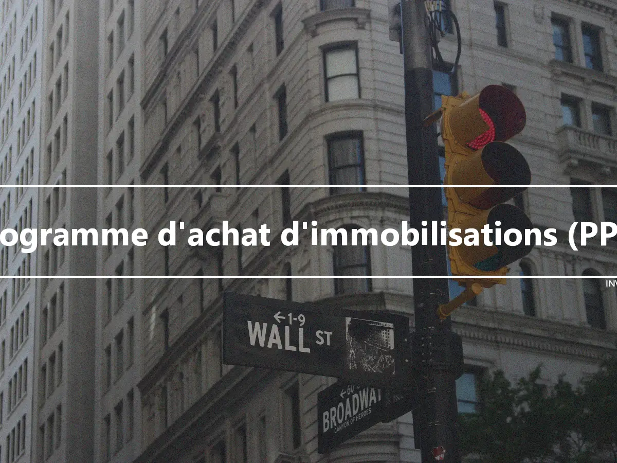 Programme d'achat d'immobilisations (PPC)