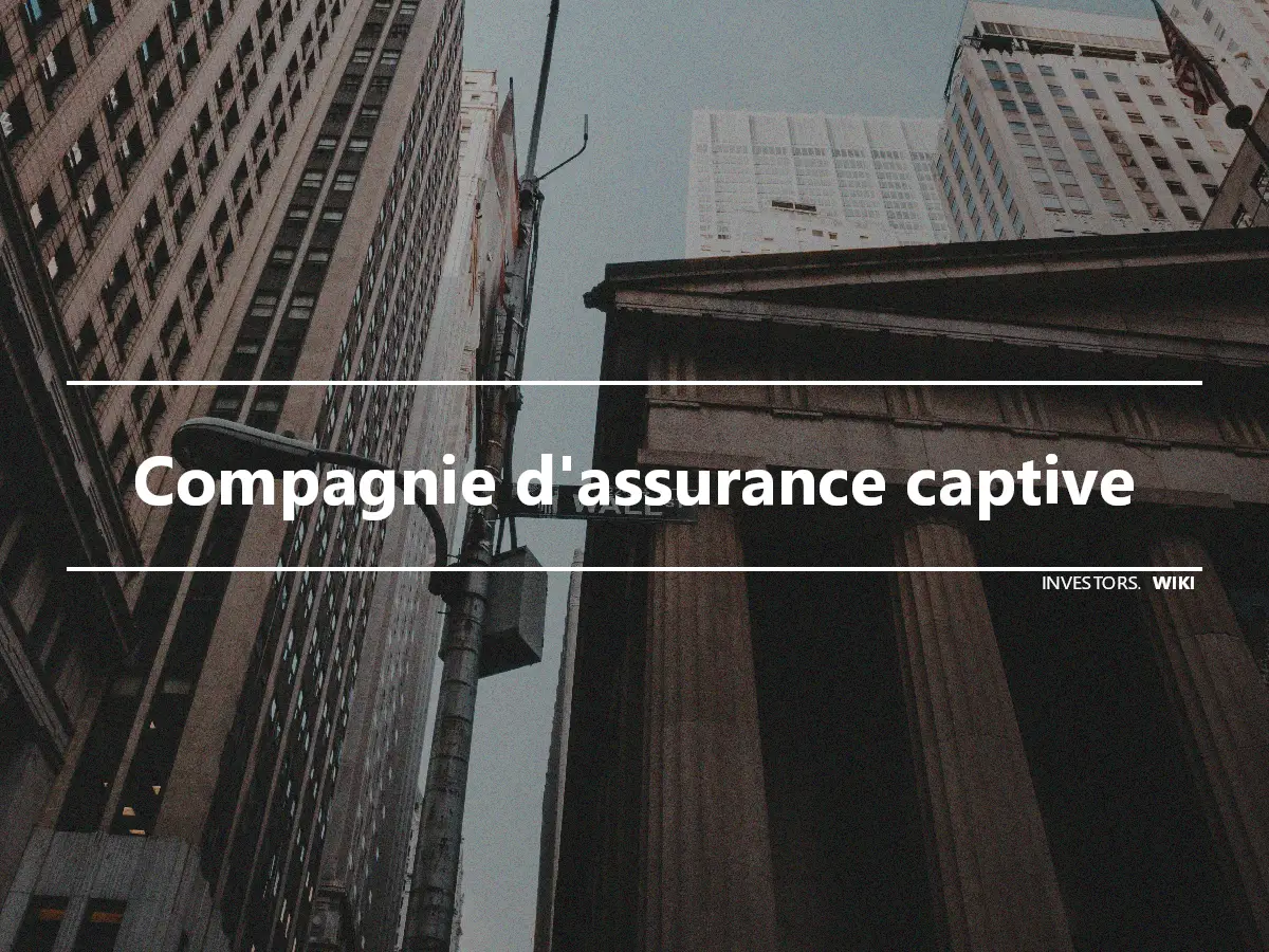 Compagnie d'assurance captive