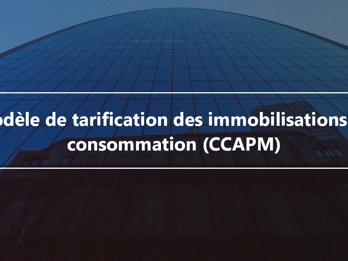 Modèle de tarification des immobilisations de consommation (CCAPM)