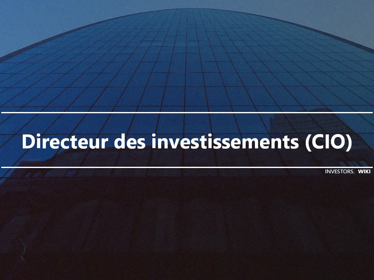 Directeur des investissements (CIO)