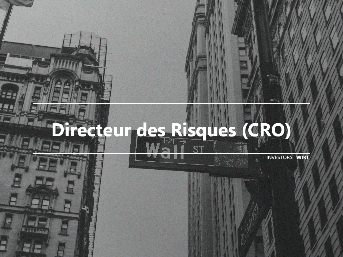 Directeur des Risques (CRO)