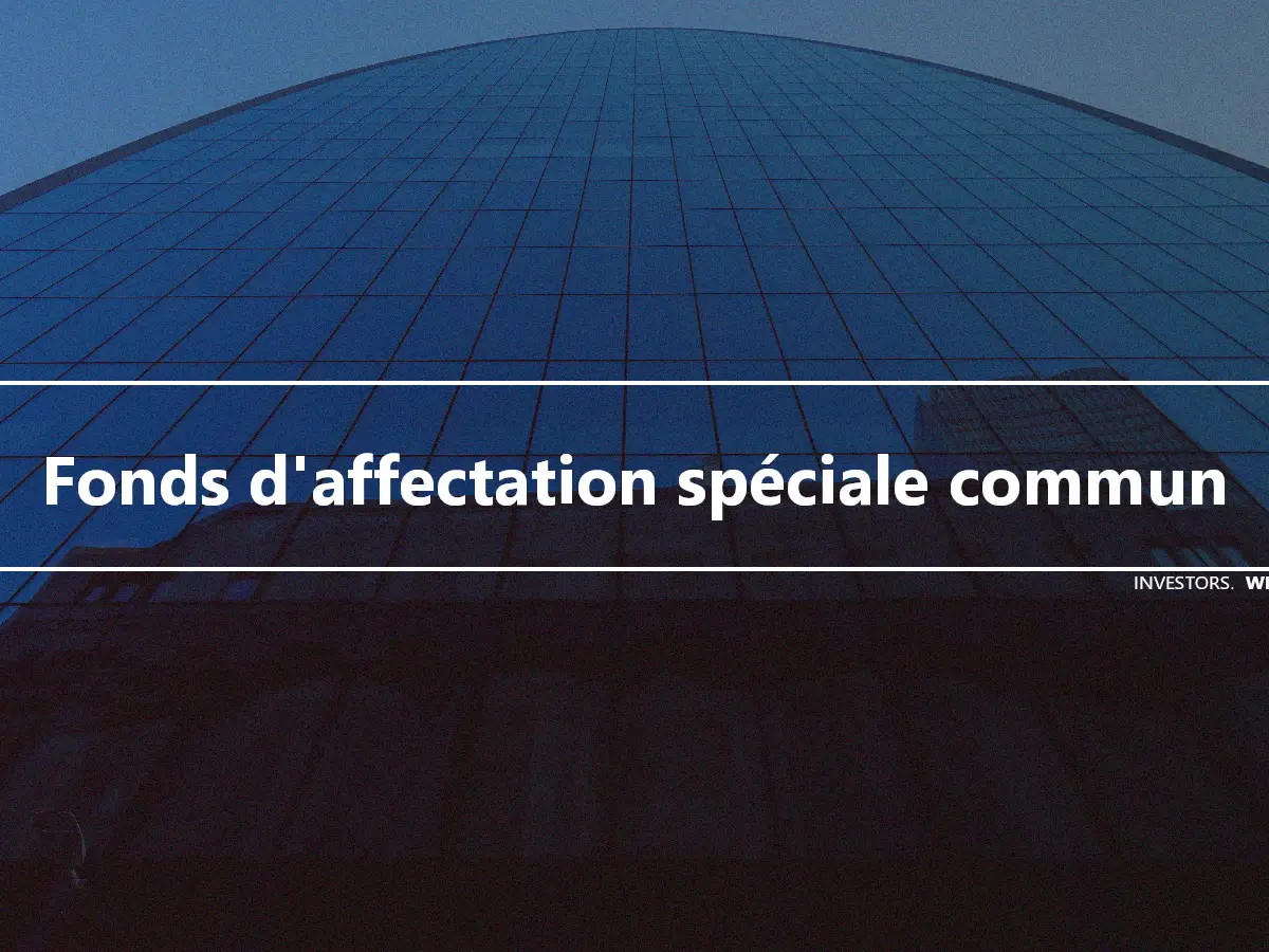 Fonds d'affectation spéciale commun