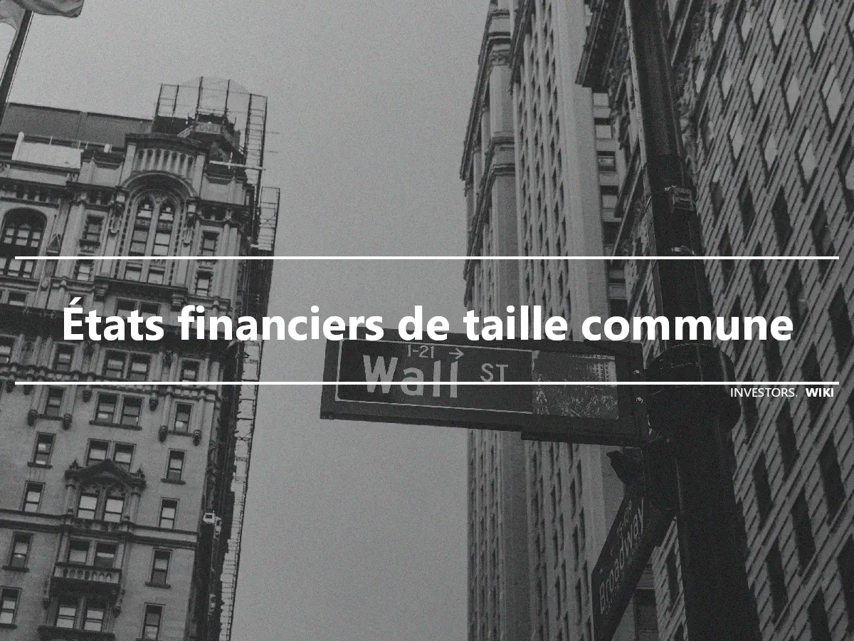 États financiers de taille commune