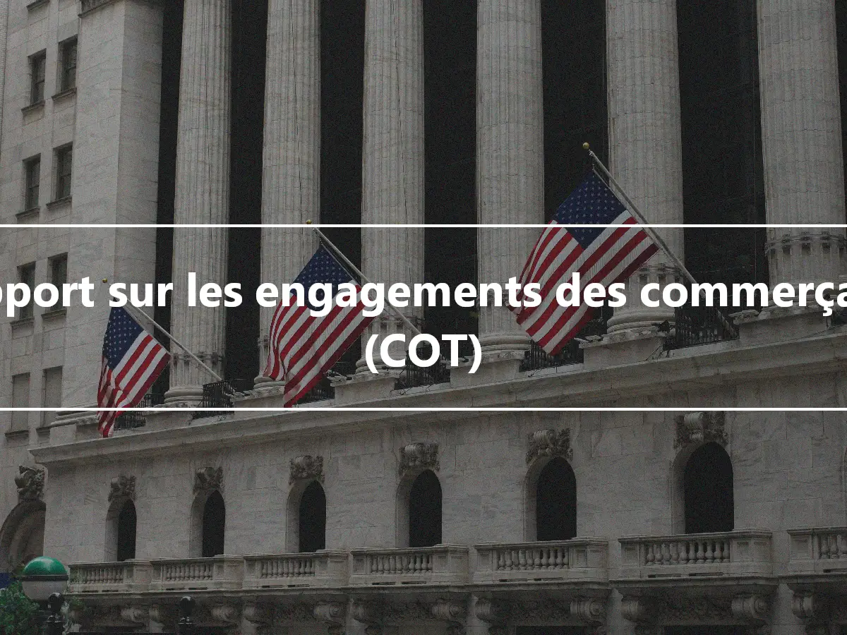 Rapport sur les engagements des commerçants (COT)