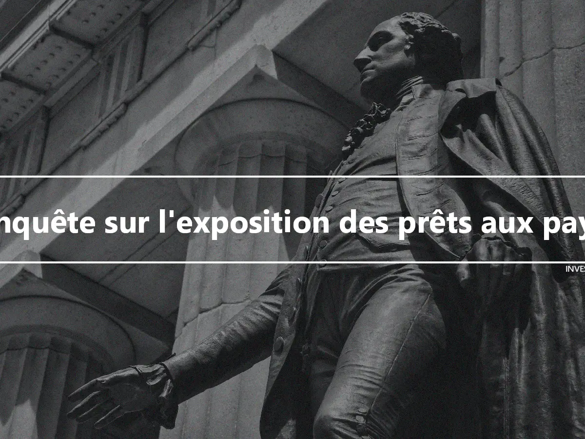 Enquête sur l'exposition des prêts aux pays