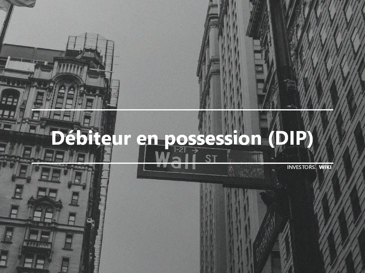 Débiteur en possession (DIP)