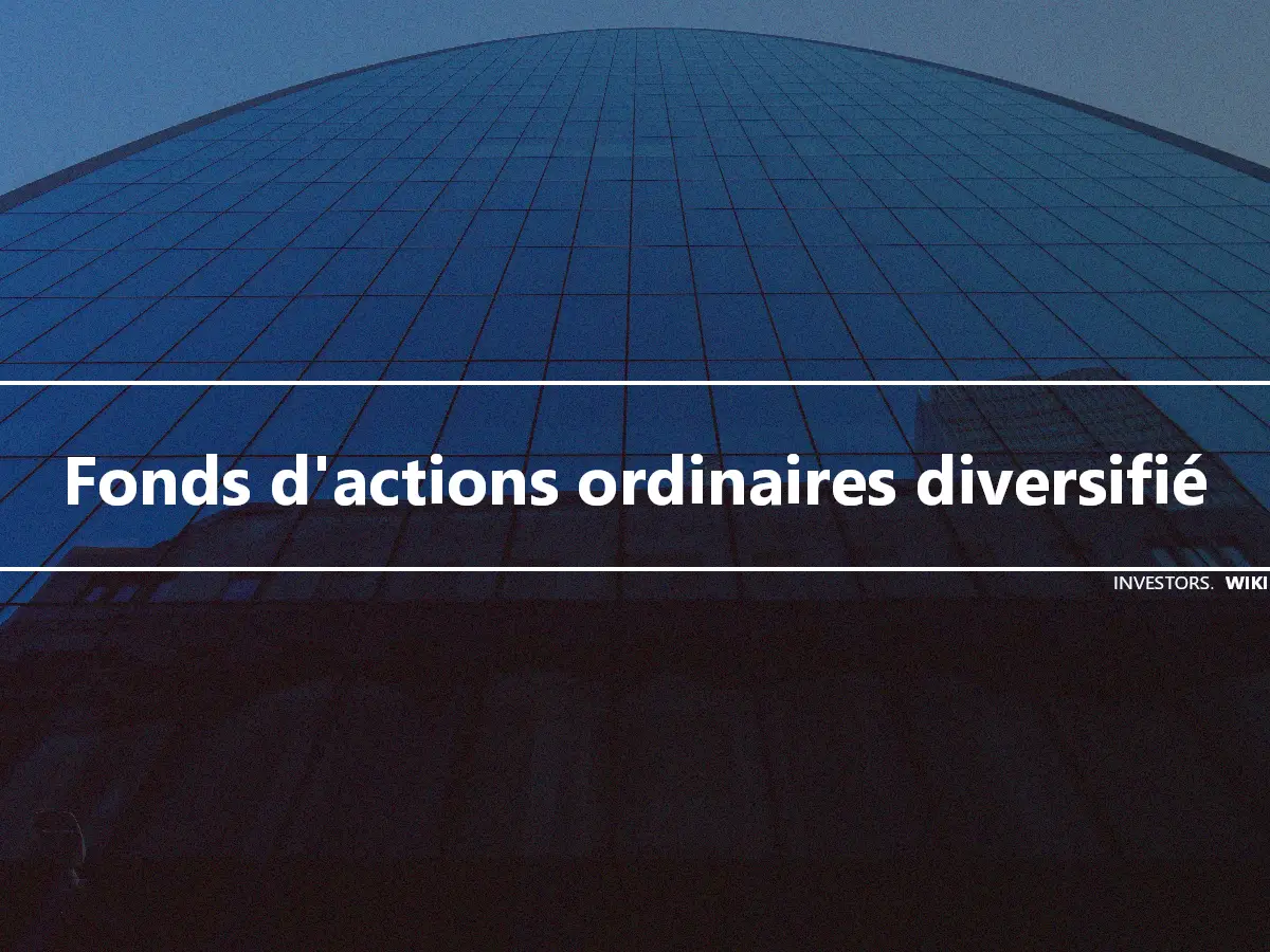 Fonds d'actions ordinaires diversifié